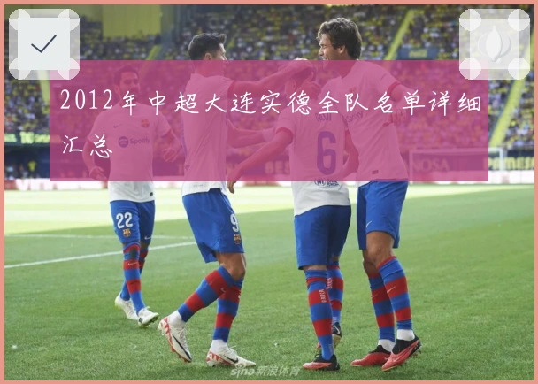2012年中超大连实德全队名单详细汇总