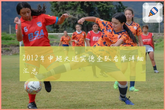 2012年中超大连实德全队名单详细汇总